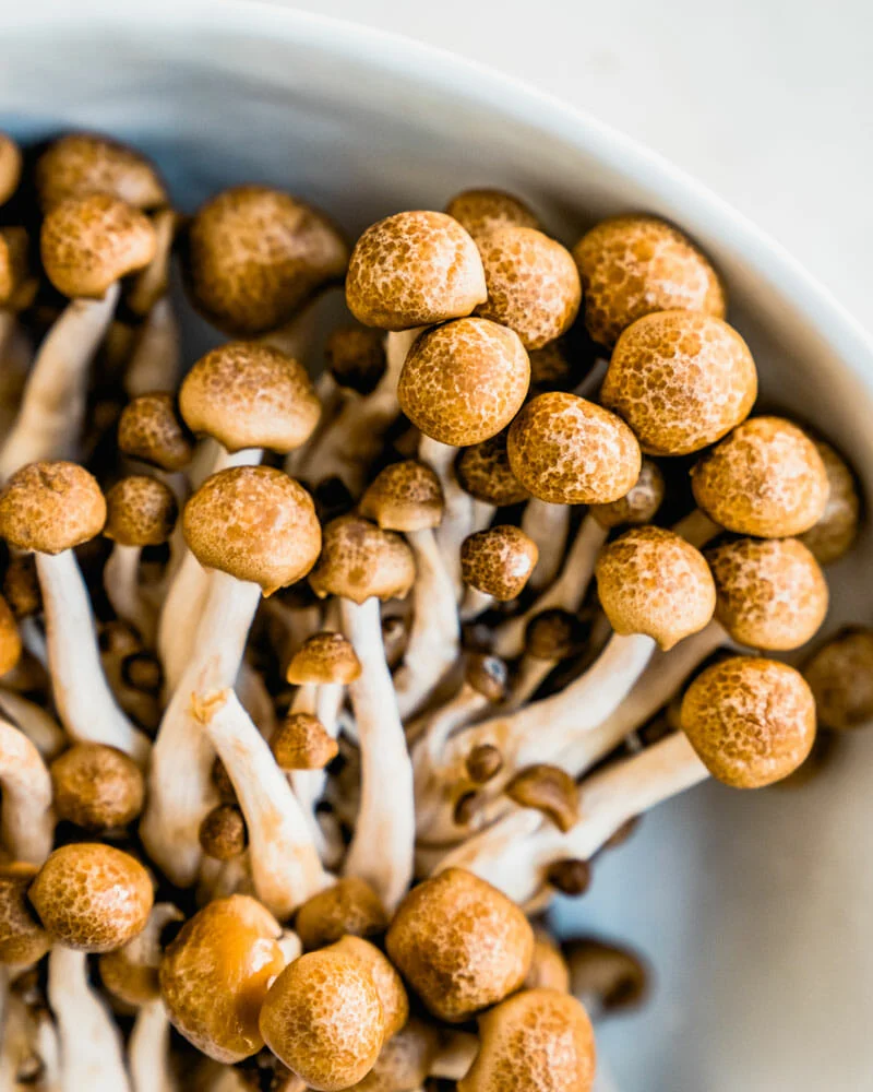 Beech Mushroom Recipe: Delicious and Nutritious Power Dish