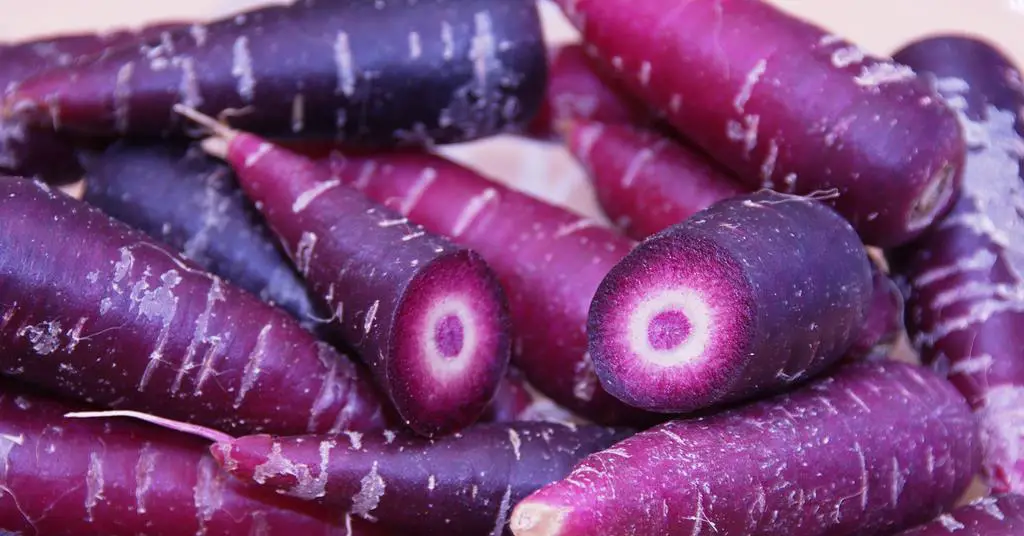 Purple Carrot Recipes: Simply Delicious!