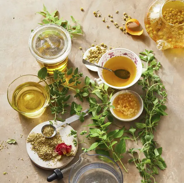 Oregano Oil Recipe: Discover the Natural Power