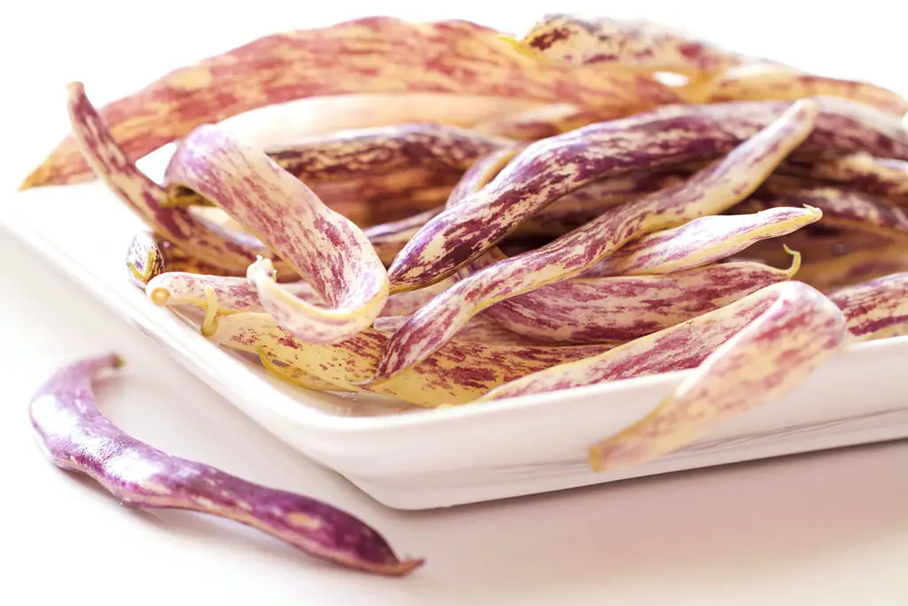 Dragon Tongue Beans Recipe: Flavorful and Nutritious Eats