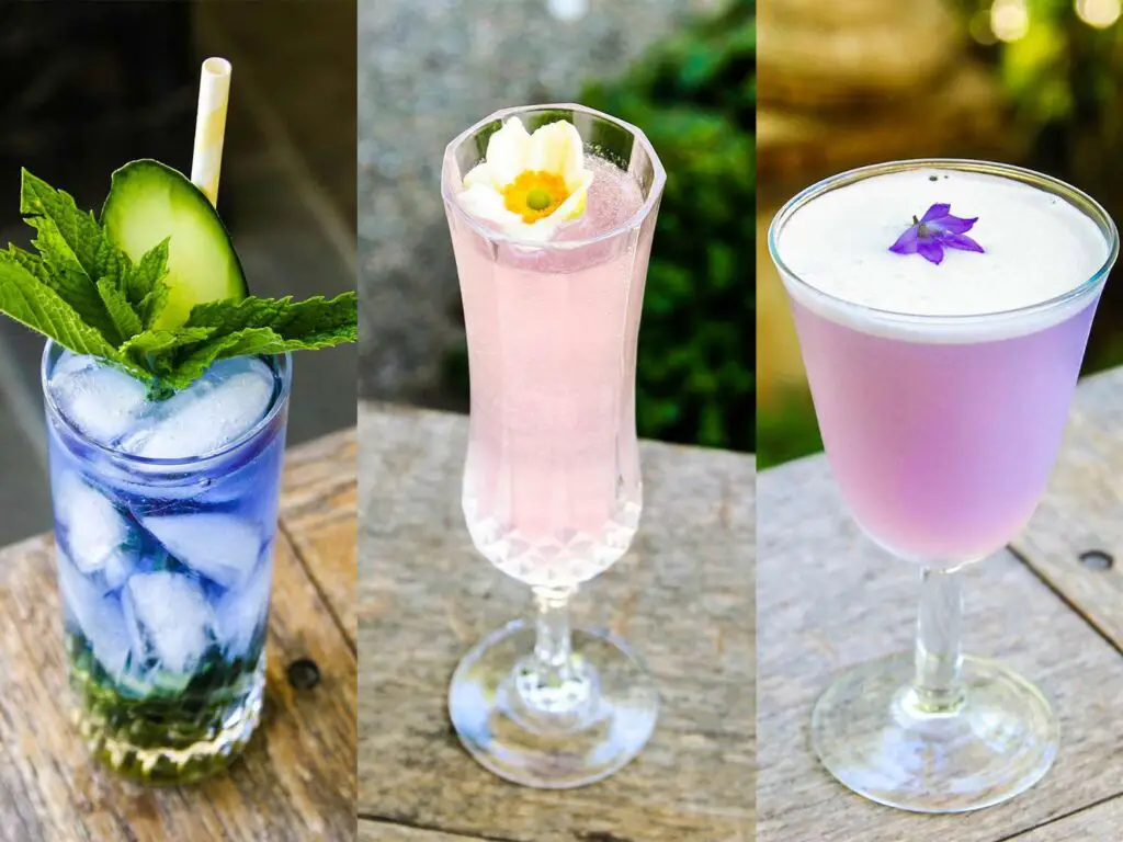 Empress Gin Recipes: Unleash the Power of Flavorful Cocktails!