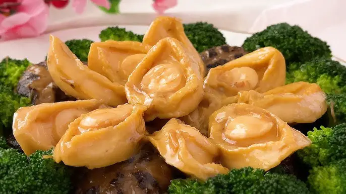 Braised Abalone With Broccoli Recipes: Master the Art of Oceanic Delights