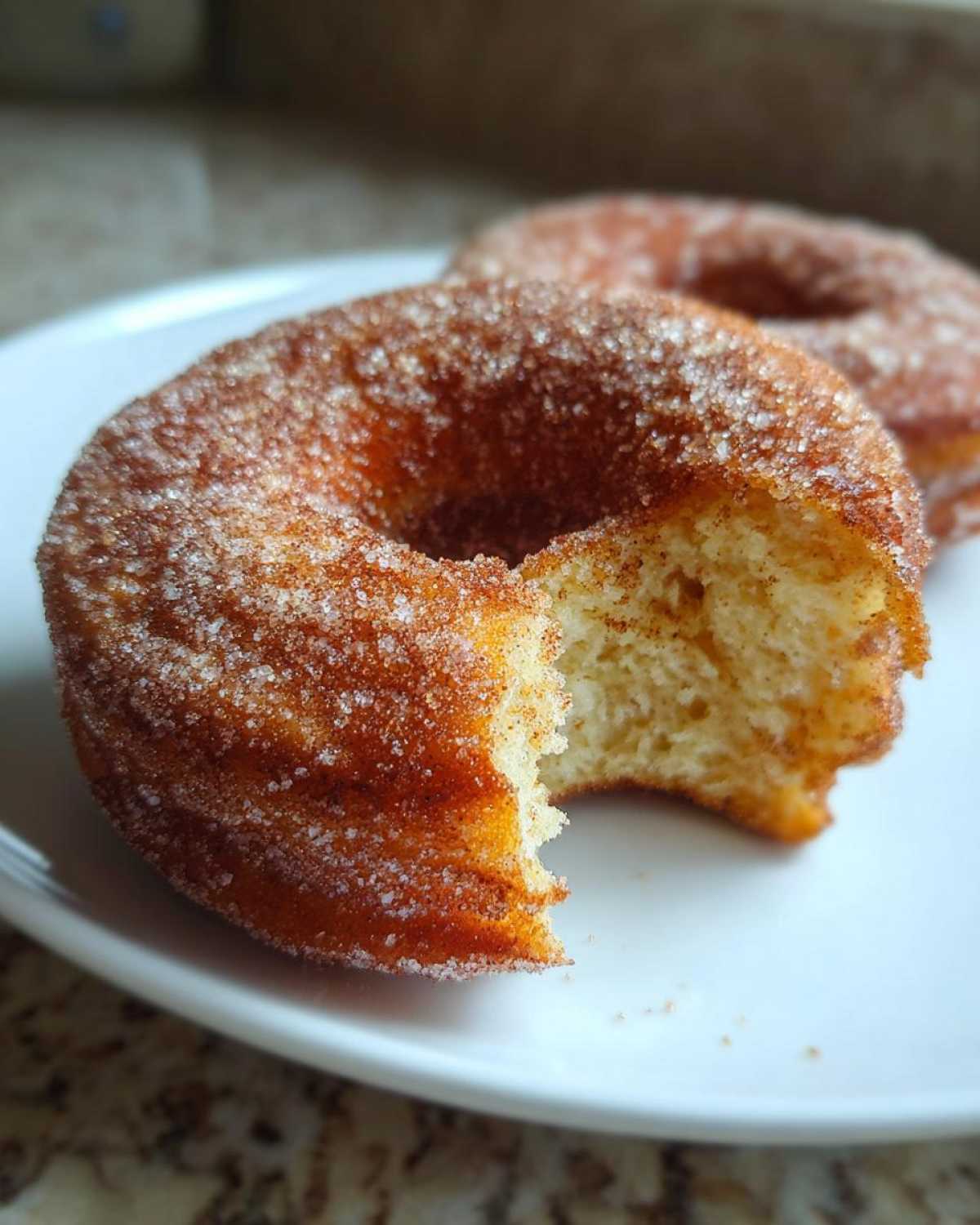 Apple Cider Donuts - detail 1