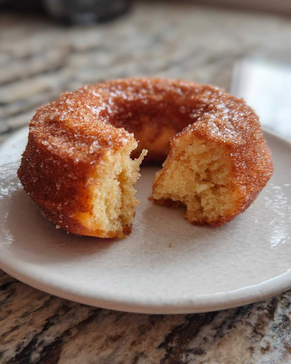 Apple Cider Donuts - detail 2