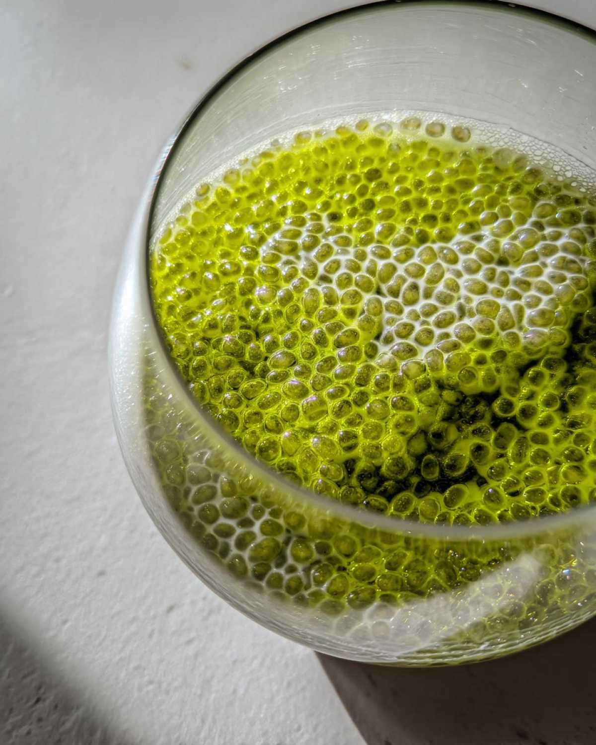 Green Tea Chia Pudding - detail 3