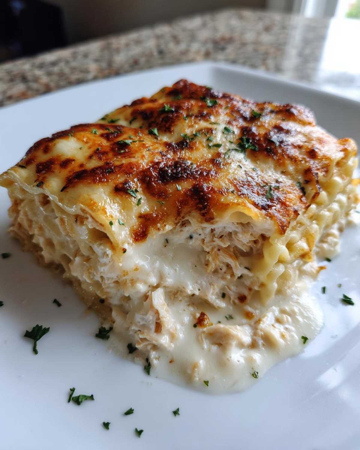 Chicken Alfredo Lasagna Roll-Ups - detail 4