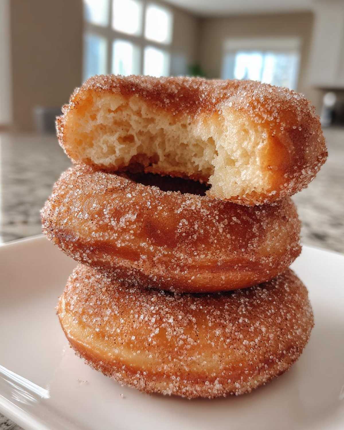 Cinnamon Sugar Air-Fryer Donuts - detail 2