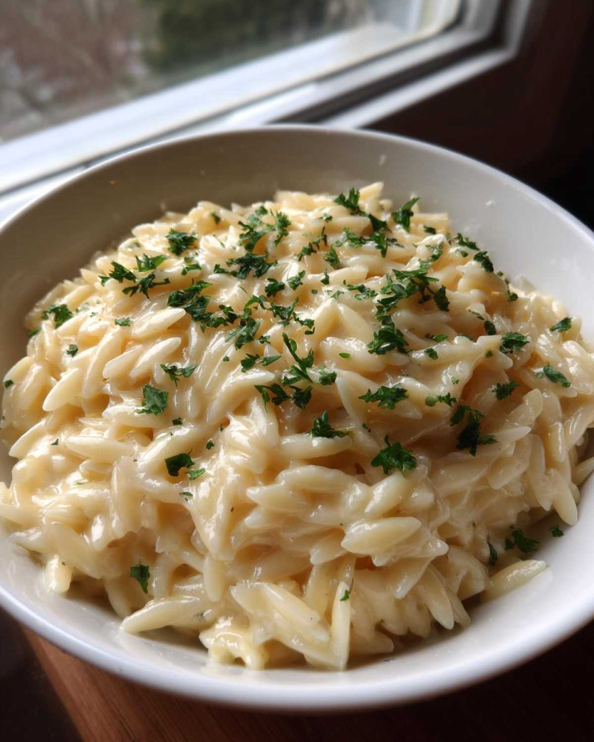 Creamy Garlic Parmesan Orzo - detail 2