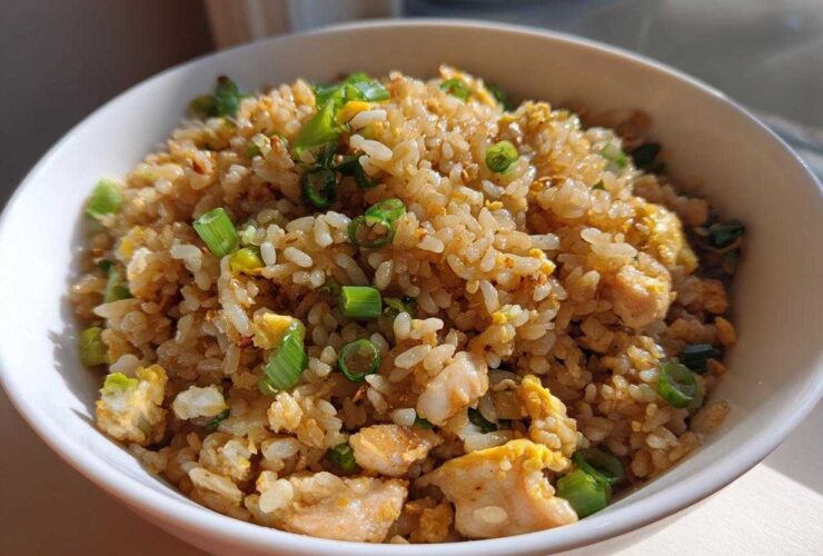 A close-up of a white bowl filled with delicious chicken fried rice, featuring visible pieces of chicken, scrambled egg, and fresh green onions.