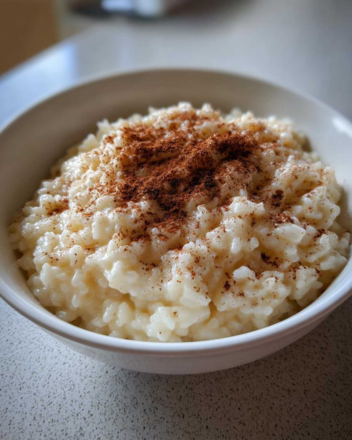 Close-up of a bowl of creamy rice pudding generously sprinkled with ground cinnamon.