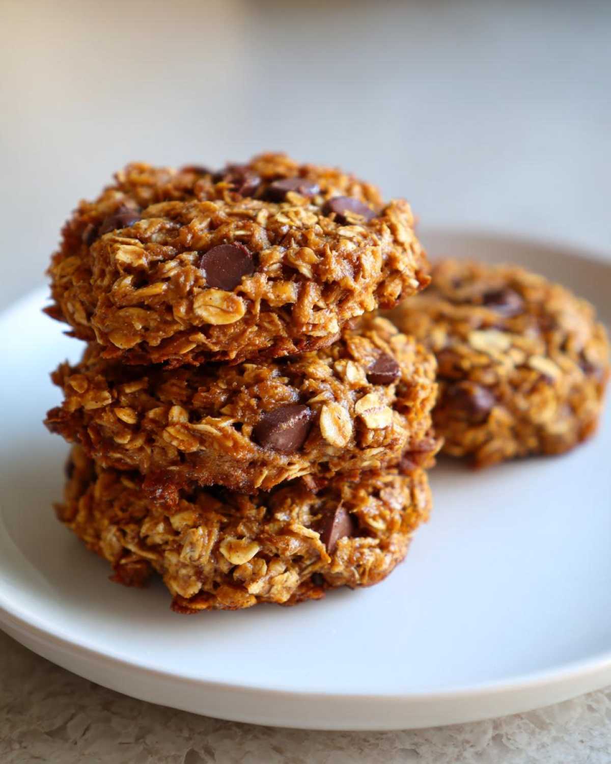 A stack of three moist, oatmeal-based breakfast cookie treats loaded with chocolate chips on a white plate.